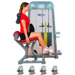 ERGO-FIT Back Extension 4000