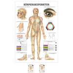 Lehrtafel "K&ouml;rperakupunktur", LxB 100x70 cm