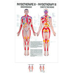 Poster "Bindegewebsmassage", LxB 70x50 cm