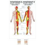 Poster "Hautinnervation", LxB 70x50 cm