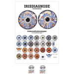 Poster "Irisdiagnose", LxB 70x50 cm