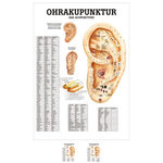 Poster "Ohrakupunktur", LxB 70x50 cm