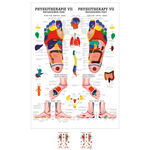 Poster "Reflexzonen Fuss", LxB 70x50 cm