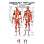 Poster "Triggerpunkte", LxB 70x50 cm