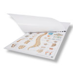 Mini-Poster Set, 20 St�ck