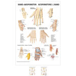 Poster "Hand-Akupunktur", LxB 70x50 cm