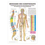 Mini-Poster "Meridiane u. Dorn", LxB 33x23 cm