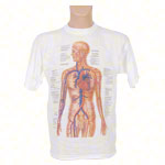 T-Shirt Kreislauf, Gr. XXL