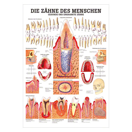 Lehrtafel - Lehrtafel