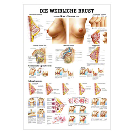 Lehrtafeln - Lehrtafel 