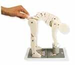 Demonstrationsfiguren