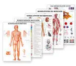 Lehrtafeln 70x100 cm