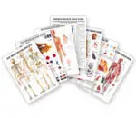 Mini-Poster 34x24 cm