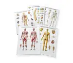 Relieftafeln 54x74 cm