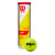 1x Wilson Tennisball CHAMPIONSHIP EXTRA DUTY , 4er-Dose
