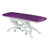 Lojer Therapieliege Capre E1 mit Radautomatik