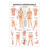 Mini-Poster Manuelle Lymphdrainage, LxB 34x24 cm