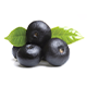 Acai