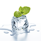 Cool & Fresh