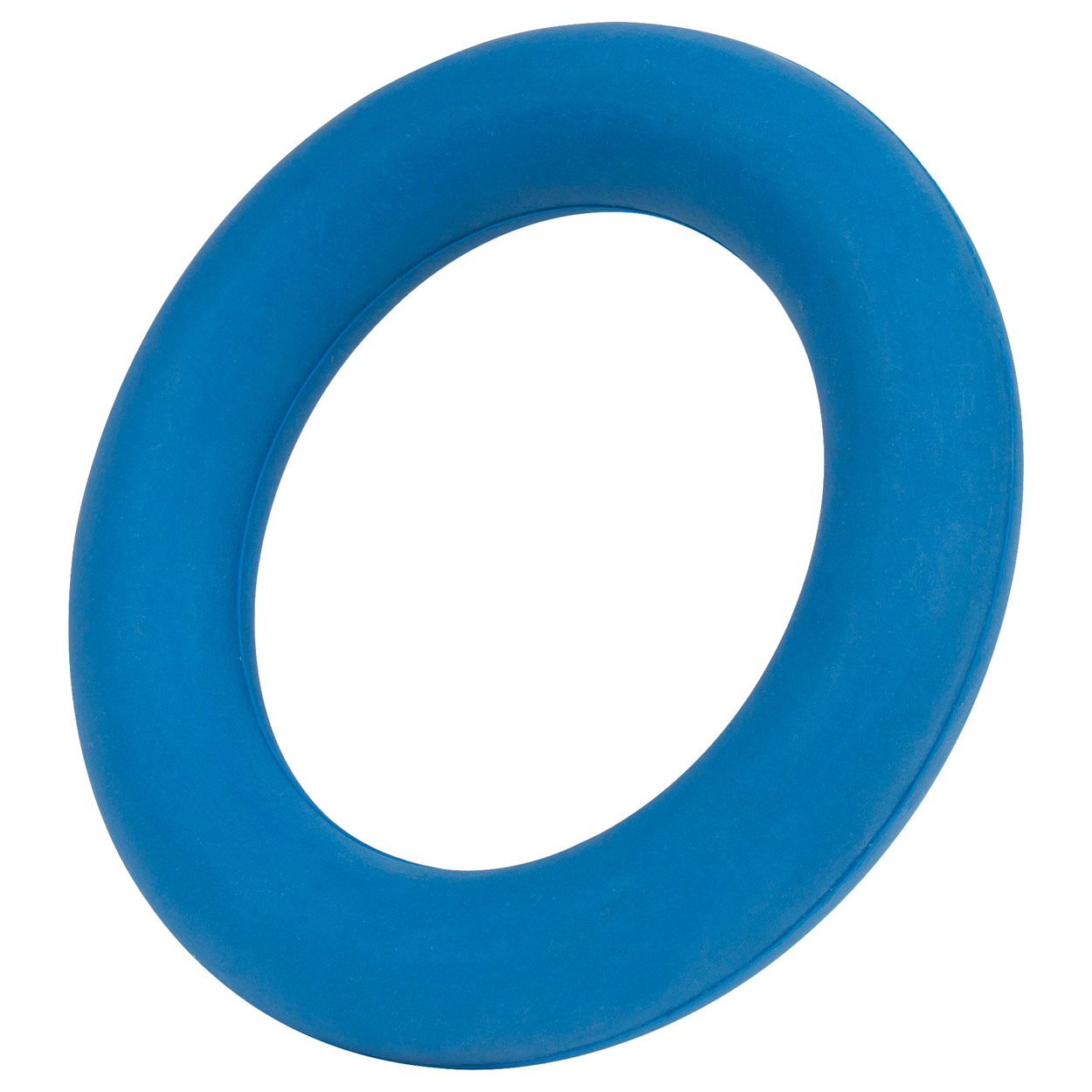 Moosgummiring Wurfring Ring Moosgummi Motorik Übungen Ø 17 cm<br> Blau