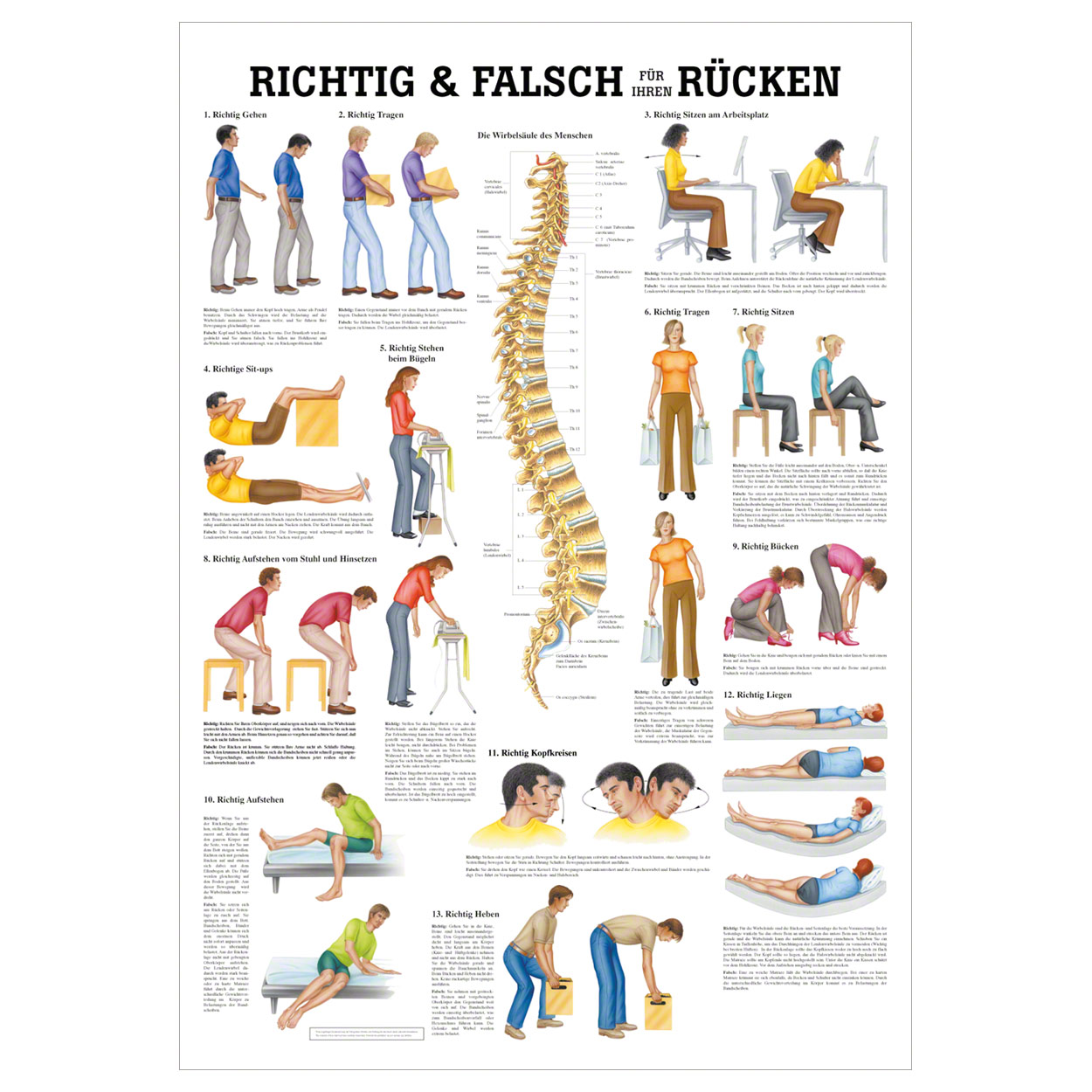 Richtig u. falsch für Ihren Rücken Lehrtafel Anatomie 100x70 cm med. Lehrmittel<br> Nicht Laminiert