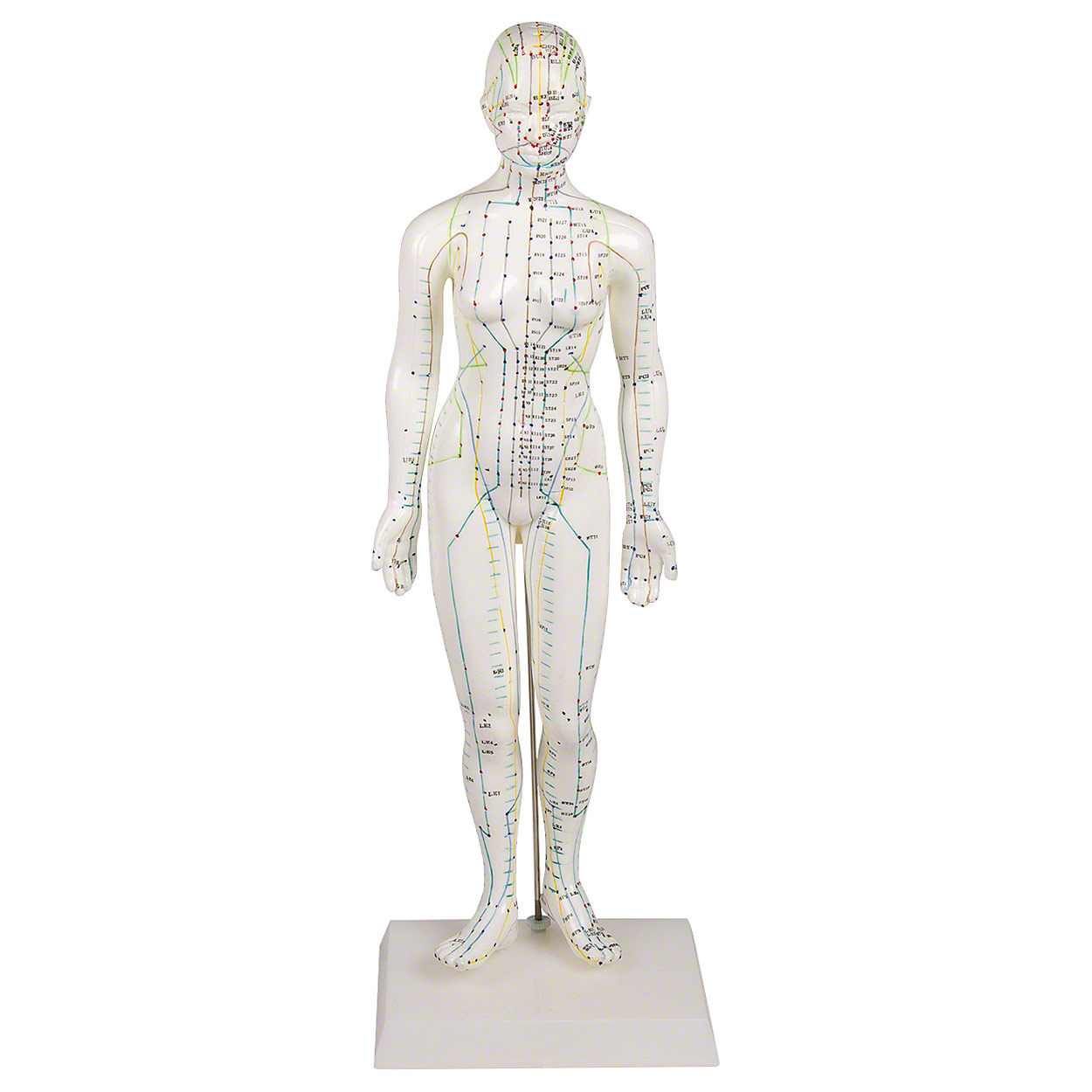 Akupunkturfigur weiblich 45 cm<br> Anatomie Modell