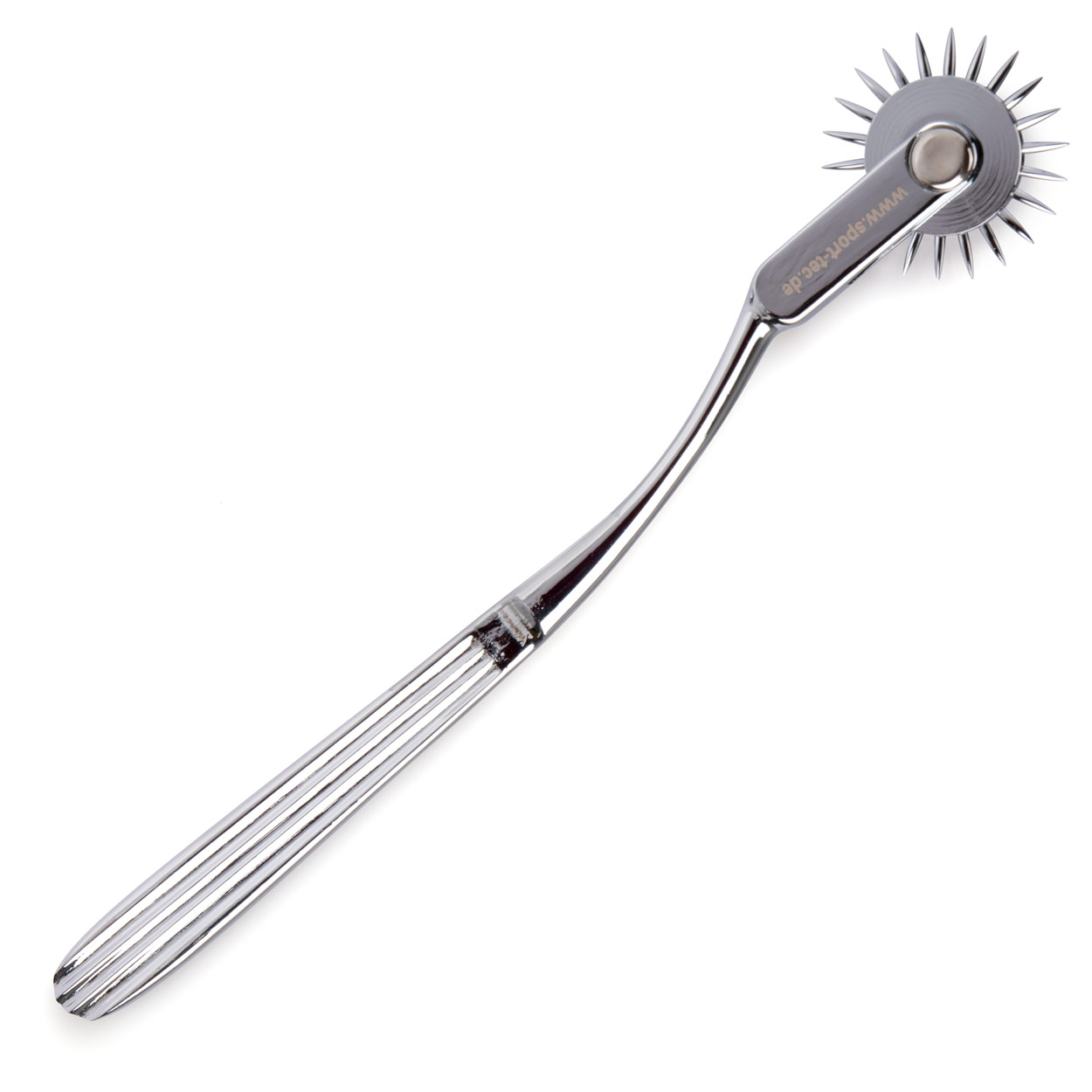 Anatomiehilfen Produkte für Physiotherapie