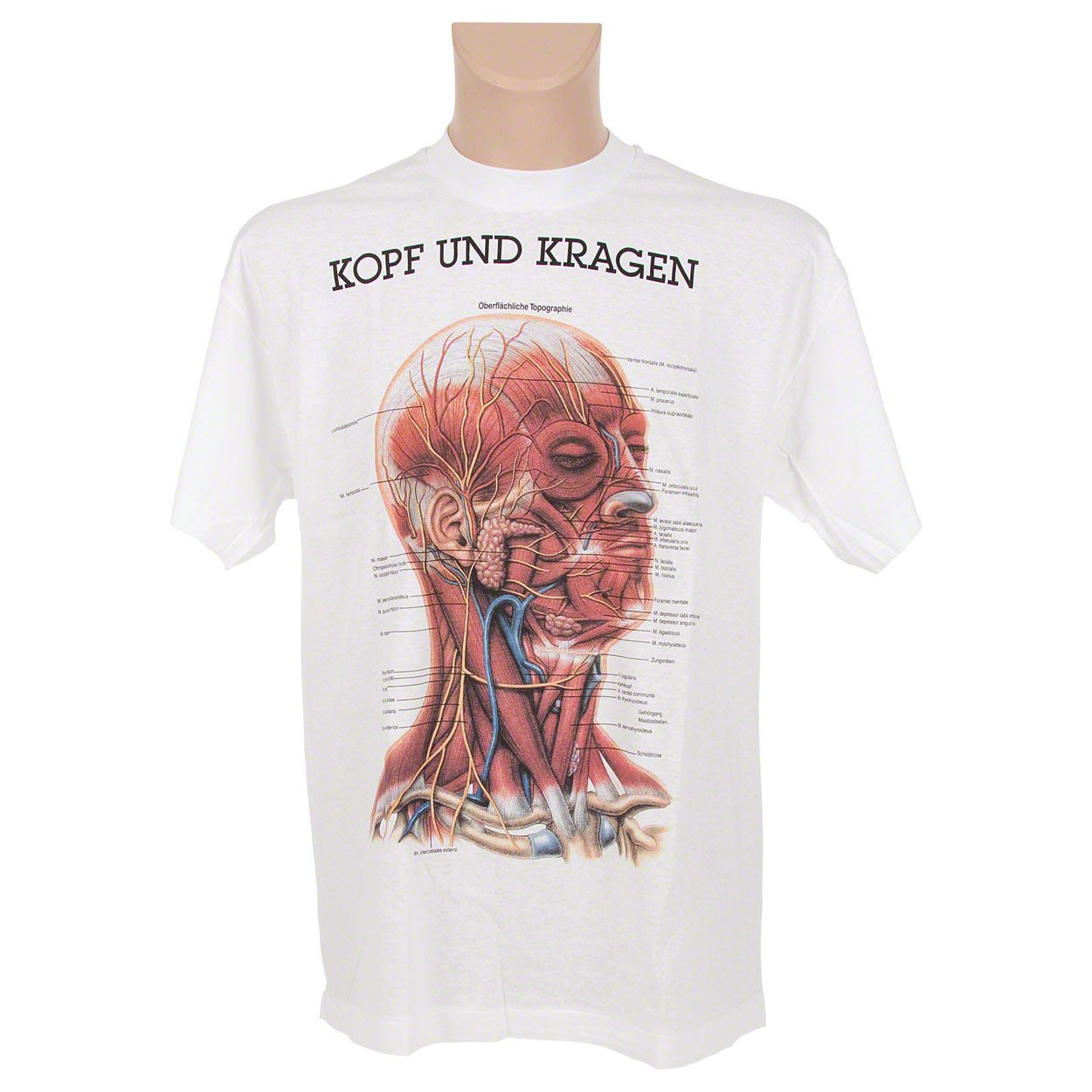 Kurzarm T-Shirt Kopf & Kragen<br> Anatomie Lernhilfe