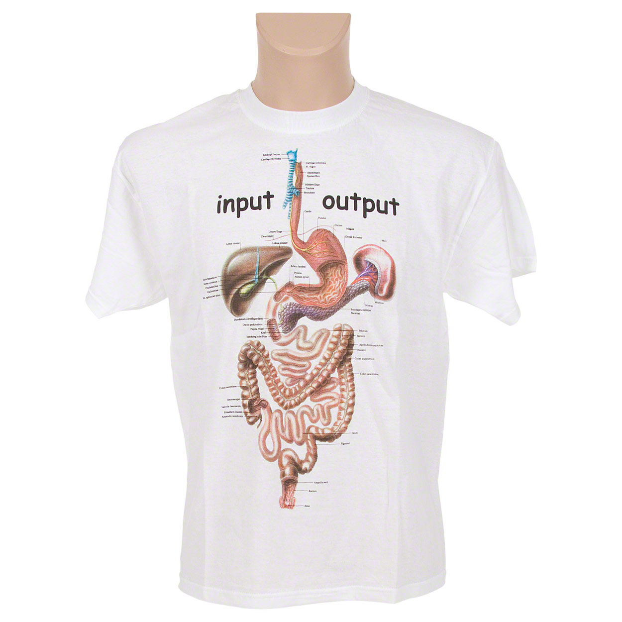 Kurzarm T-Shirt Verdauung<br> Anatomie Lernhilfe Medizinische Lernmittel