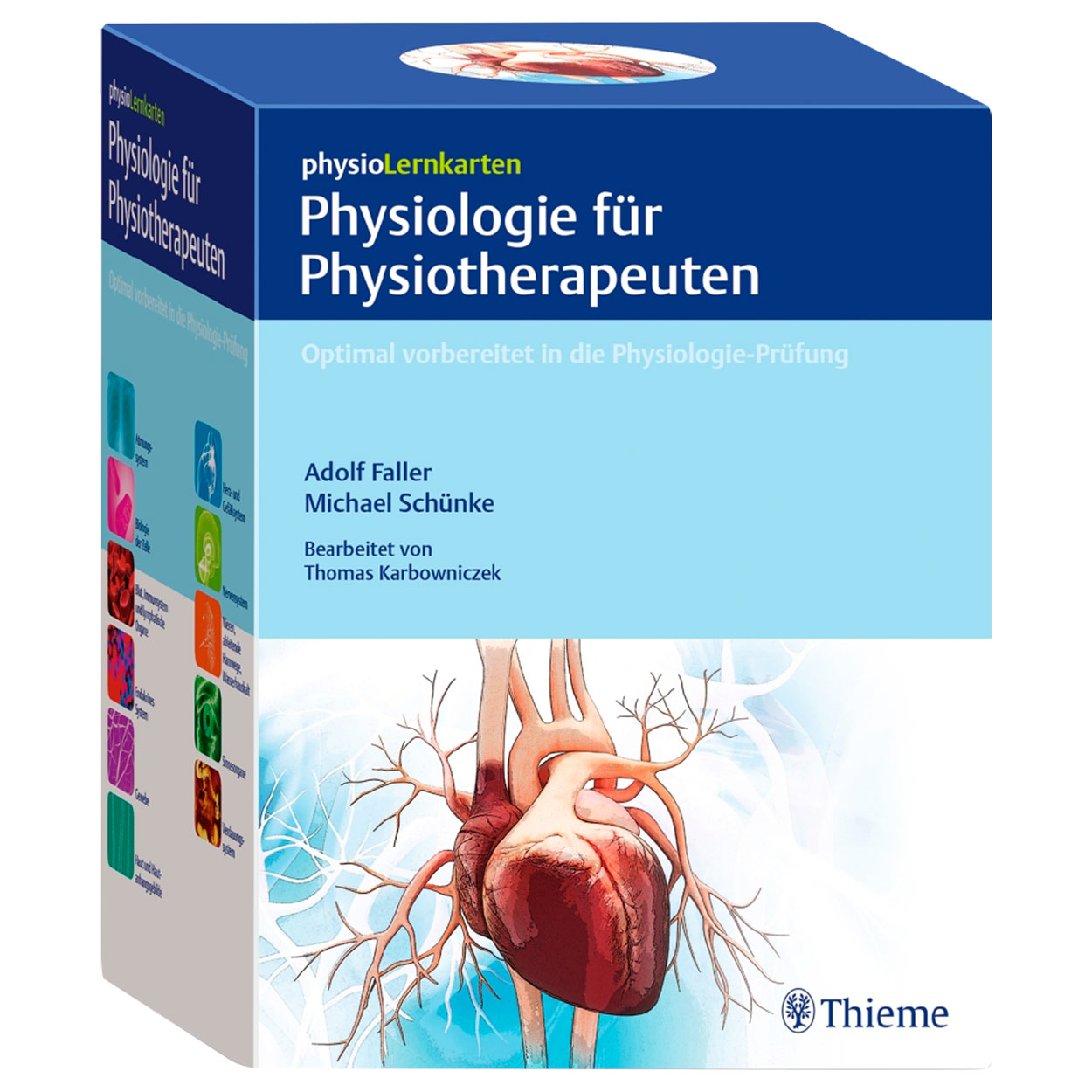 physioLernkarten<br> Physiologie für Physiotherapeuten