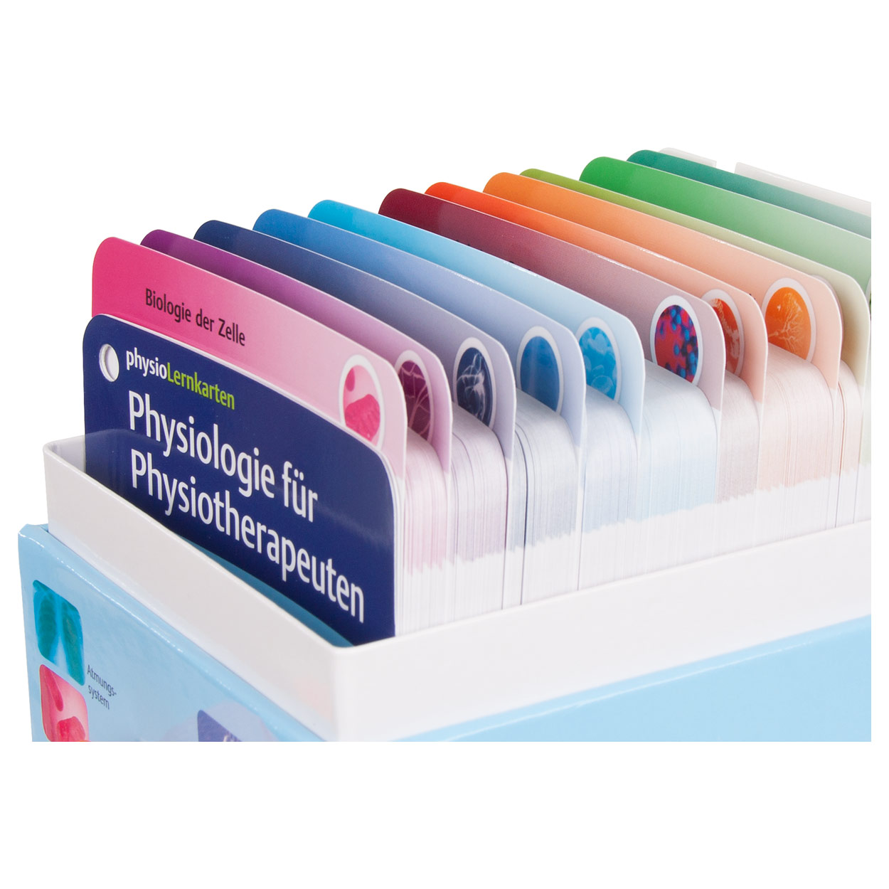 Physiolernkarten Physiologie Fur Physiotherapeuten 415 Karten