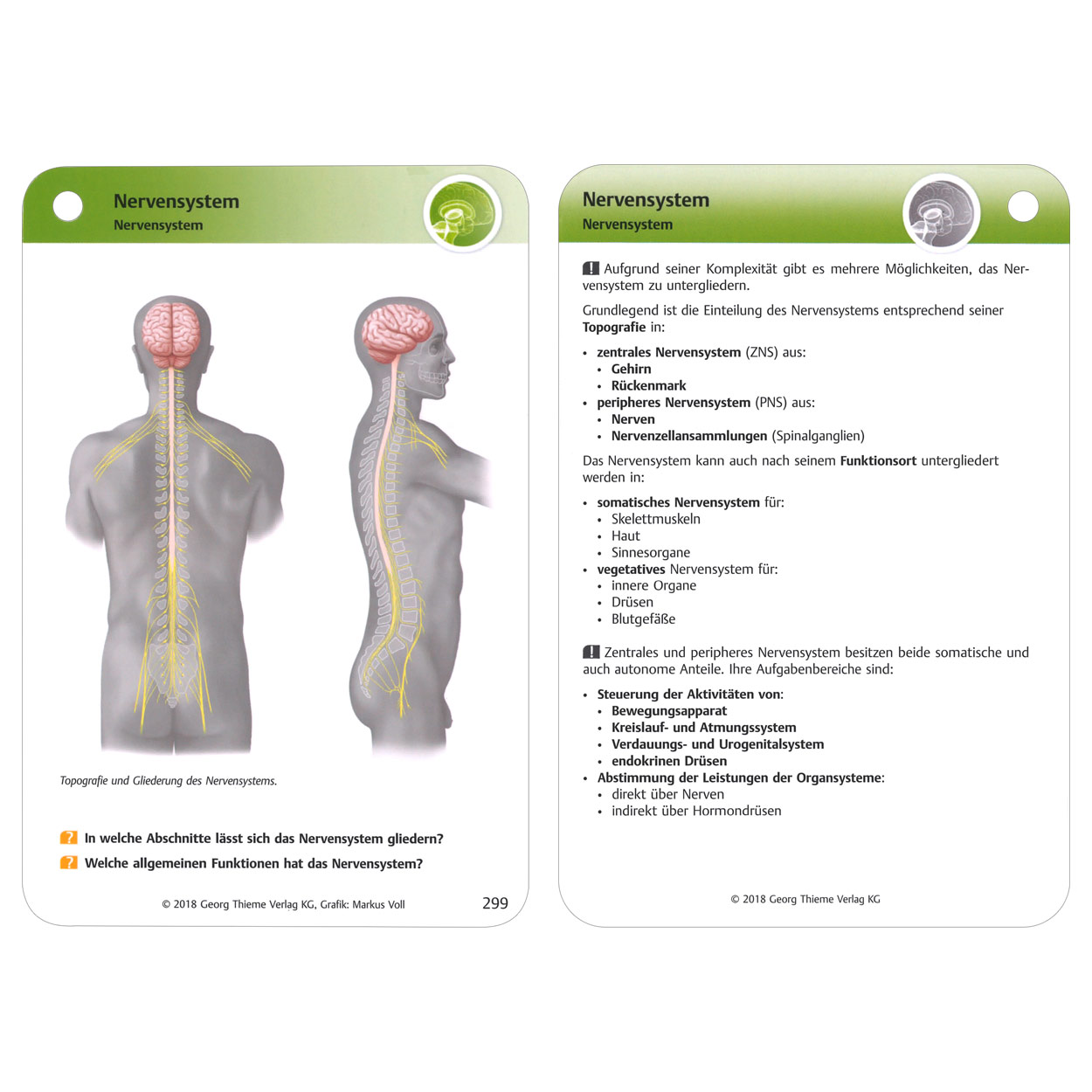 Physiolernkarten Physiologie Fur Physiotherapeuten 415 Karten