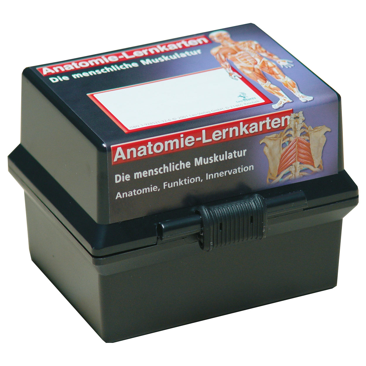 Lernkärtchen Muskelsystem im Karteikasten<br> 300 Karten