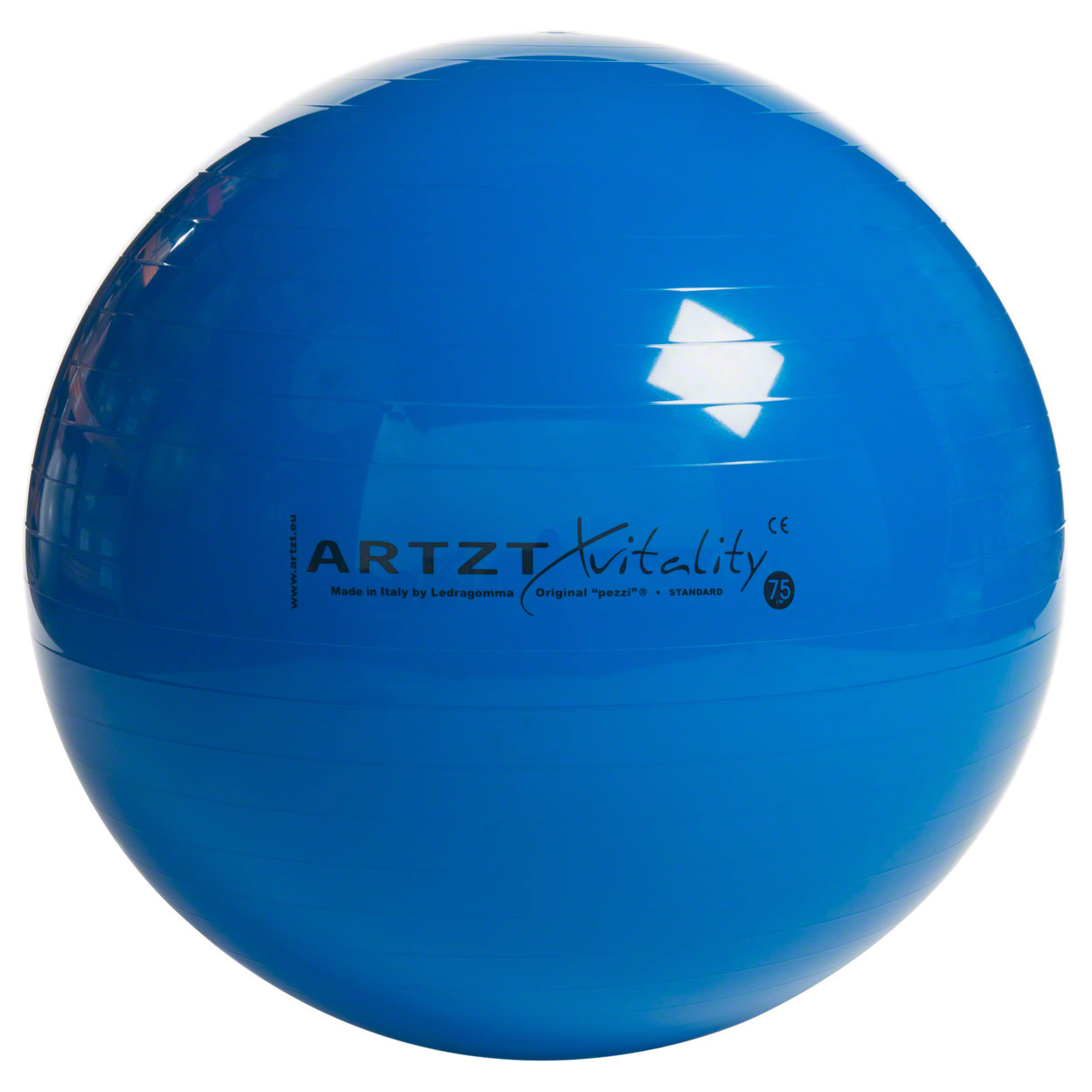 ARTZT vitality Fitness-Ball Standard<br> ø 75 cm