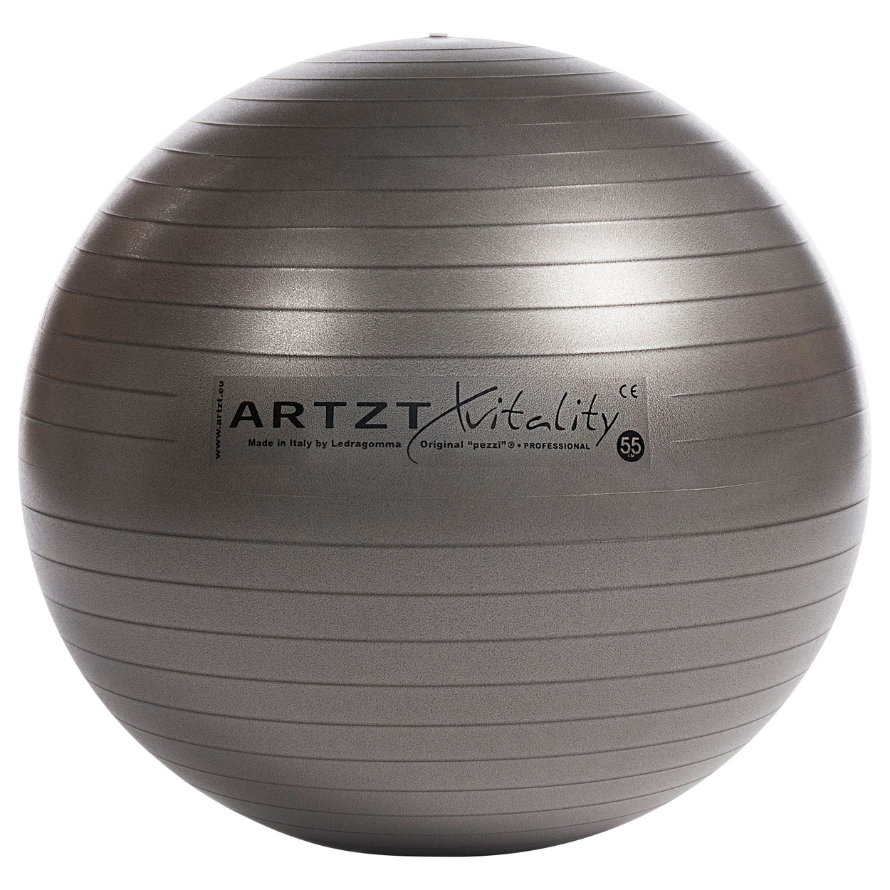 ARTZT vitality Fitness-Ball Professional<br> ø 55 cm