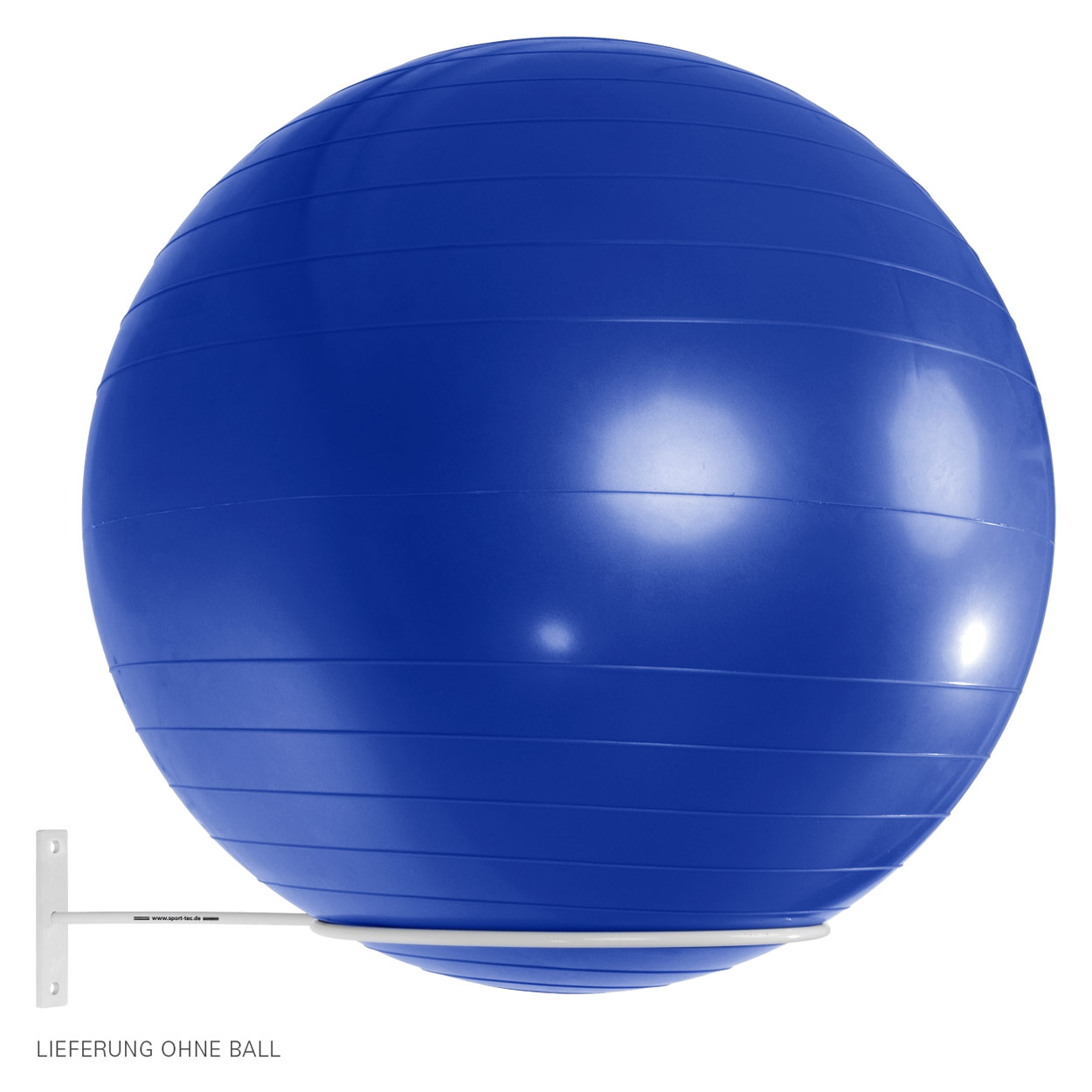 DNYLHRLZ Yoga Ball Aufbewahrungsregal - Wandhalterung Für Gymnastikbälle (3 Stück)