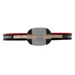 JOOLA Tischtennisschlger CARBON X PRO