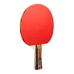 JOOLA Tischtennis-Set FAMILY Advanced, 4 TT-Schlger + 8 TT-Blle