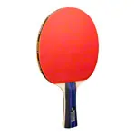 JOOLA Tischtennis-Set FAMILY Advanced, 4 TT-Schlger + 8 TT-Blle