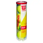 17x Wilson Tennisball CHAMPIONSHIP EXTRA DUTY 4er-Dose, inkl. Trinkflasche