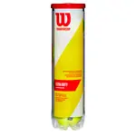 17x Wilson Tennisball CHAMPIONSHIP EXTRA DUTY 4er-Dose, inkl. Trinkflasche