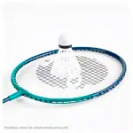 Abbildung zeigt Badminton Schl�ger Standard, 66 cm, St�ck