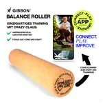Abbildung zeigt GIBBON Balance Roller