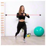 Flexi-Bar Standard, 153,5 cm