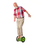 Gonge Balancierrolle 