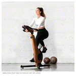 Abbildung zeigt NOHrD Bike-Fahrradergometer, Club-Sport