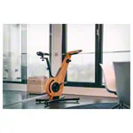 NOHrD Bike-Fahrradergometer, Kirsche