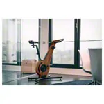 NOHrD Bike-Fahrradergometer, Nussbaum