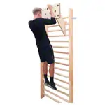 Pedalo Kletter-Trainingsboard, 82 x 30 x 4 cm, inkl. Adapter fr Sprossenwand