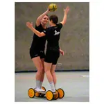 Pedalo Koordinationstrainer Combi